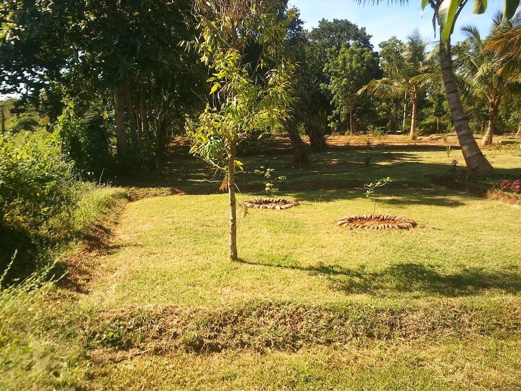 Yala Eco Tree House New Tissamaharama Exterior photo