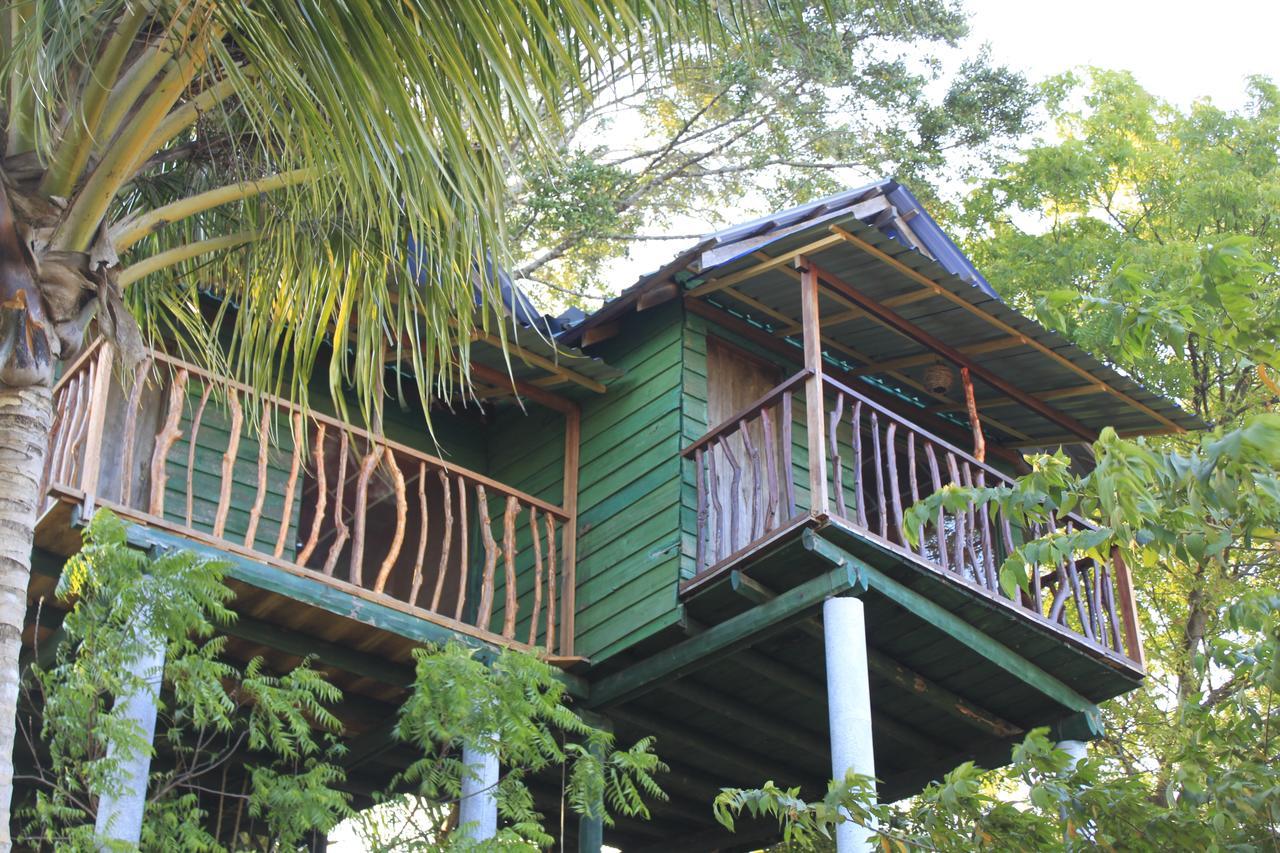 Yala Eco Tree House New Tissamaharama Exterior photo