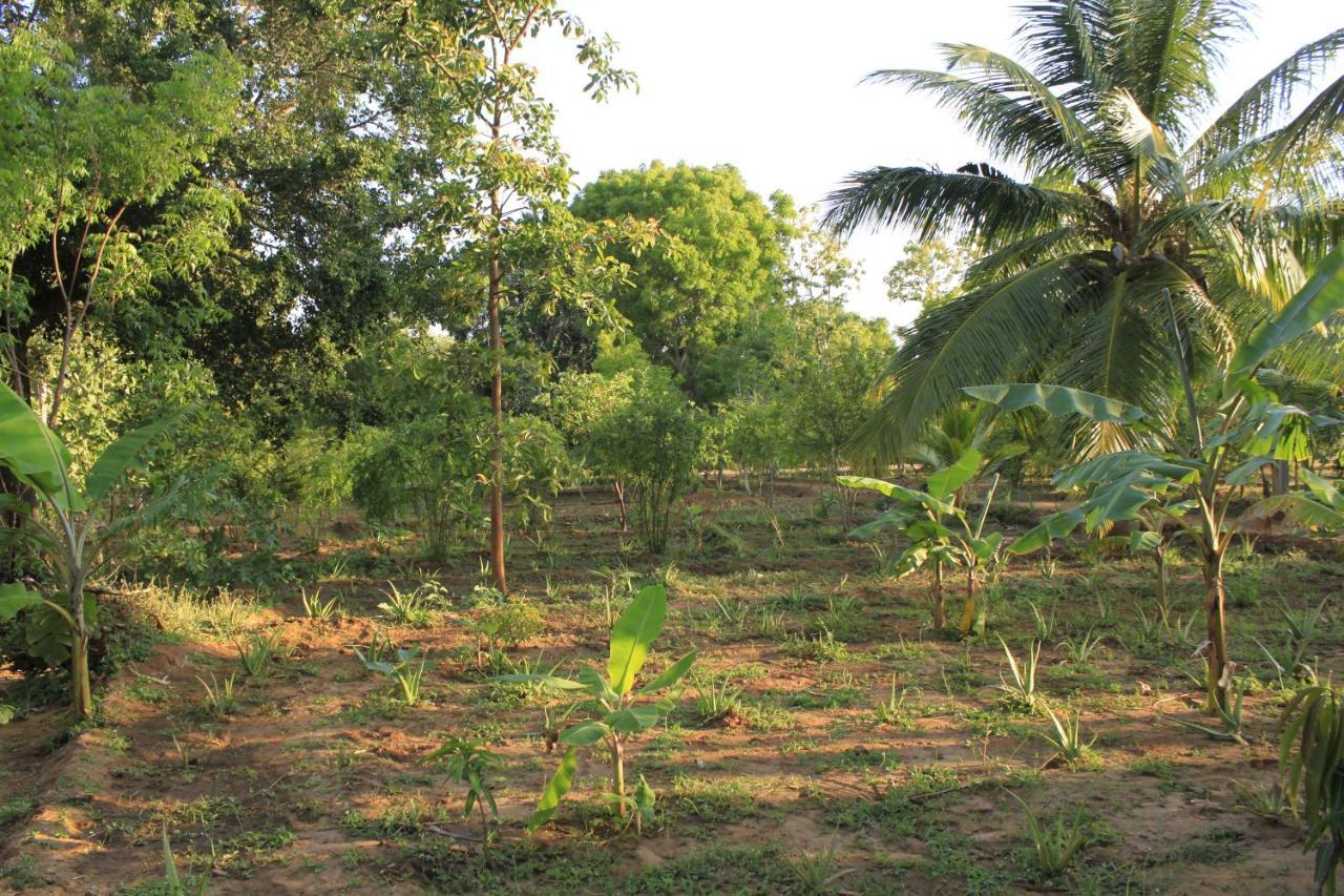 Yala Eco Tree House New Tissamaharama Exterior photo