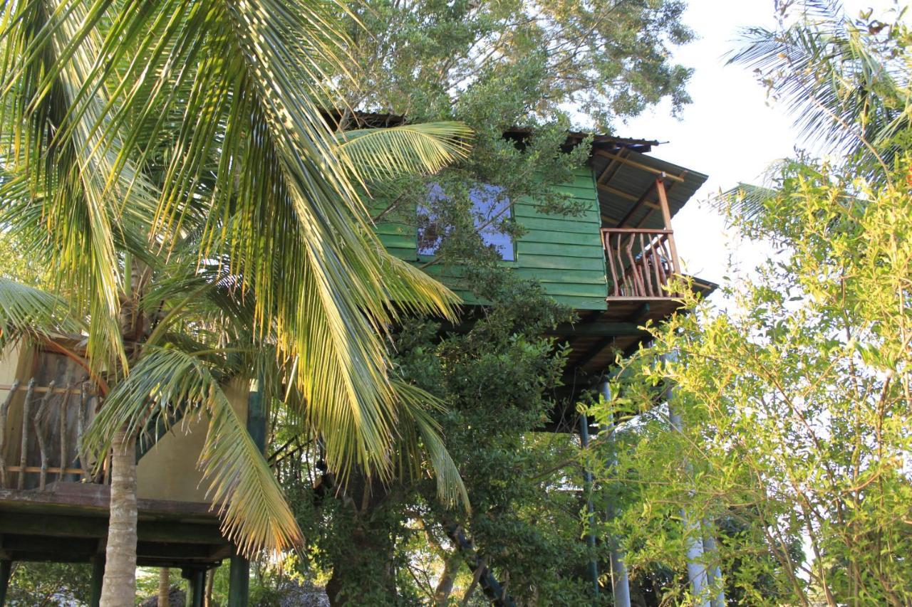 Yala Eco Tree House New Tissamaharama Exterior photo