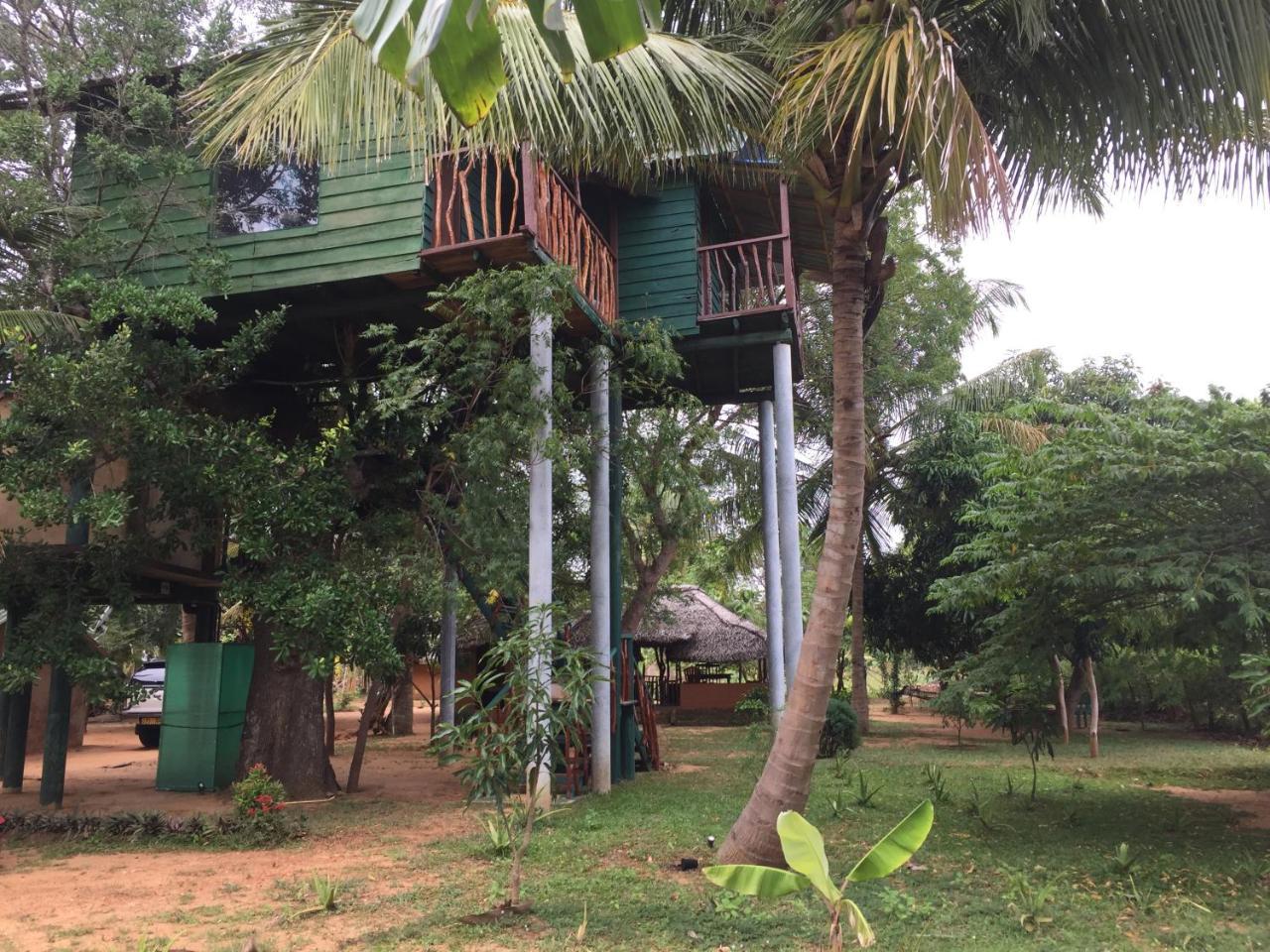 Yala Eco Tree House New Tissamaharama Exterior photo